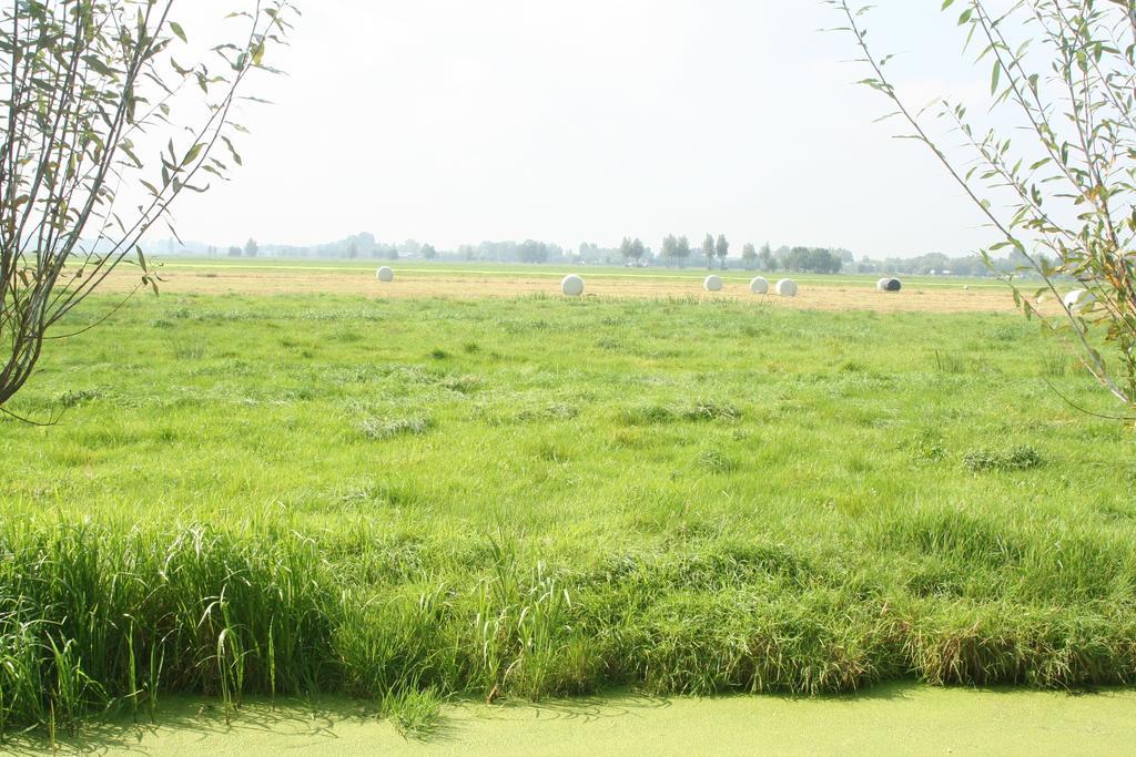 Camping De Grienduil Nieuwland  Eksteriør billede